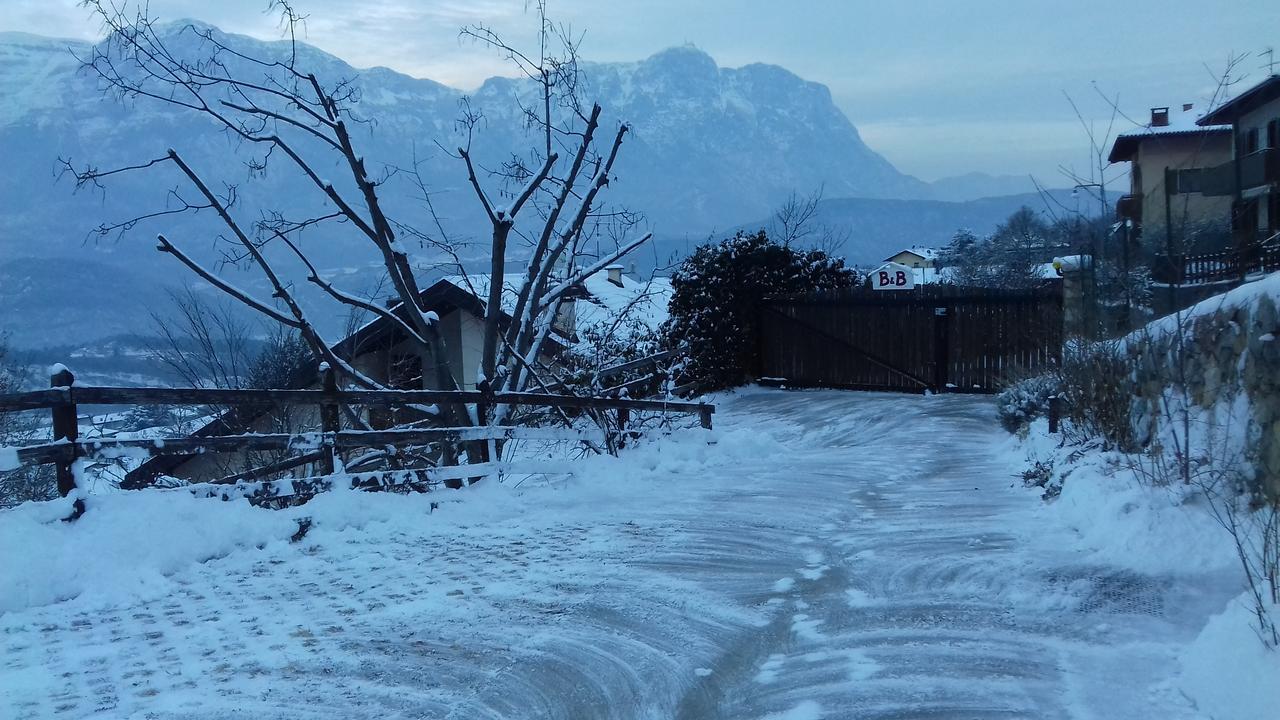 Artemia * Trento