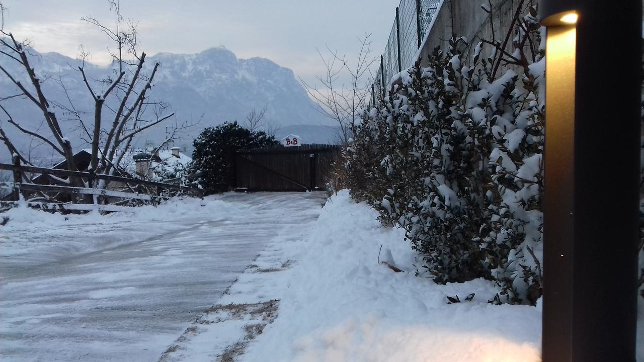 Artemia Trento